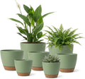 LIFFY Plant Pots, 8,7.5,7,6.5,6,5.5,5 Inch Plastic Self Watering Planters with Drainage Holes & Saucers, 7-Pack Green Nursery Planting Pot with Deep Reservoir for Indoor Outdoor Plants