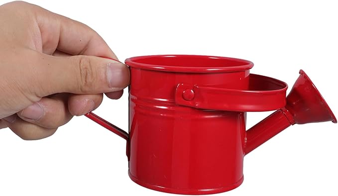 SEWACC 2pcs Kids Metal Watering Can for Indoor Plants, Durable Iron Sprinkling Kettle, Portable Small Water Can for Garden Home Plants, Red and Light Blue, 6.69 x 2.75 x 2.75 Inch