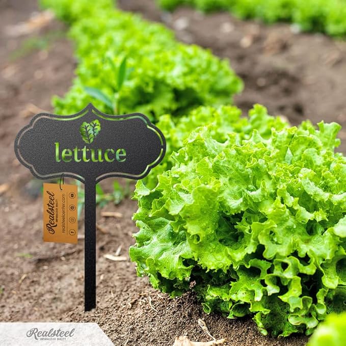 RealSteel - Seed & Plant Markers - Indoor/Outdoor Herb Garden Stakes - Elegant Fruit/Vegetable Seed Labels - Durable Plant Tags for Pots - Classy Design for Farmhouse/Greenhouse (Brussels Sprouts)