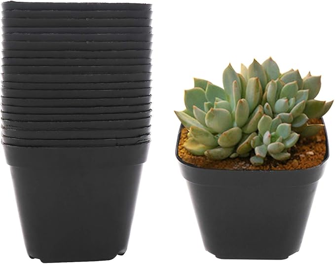 4 Inch Plastic Plant Pots Square Nursery Pot 25 PCS Sturdy & Reusable Starter Container for Starting Seedlings, Succulents,Cuttings & Transplanting with Drainage Holes, Black