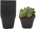 4 Inch Plastic Plant Pots Square Nursery Pot 25 PCS Sturdy & Reusable Starter Container for Starting Seedlings, Succulents,Cuttings & Transplanting with Drainage Holes, Black