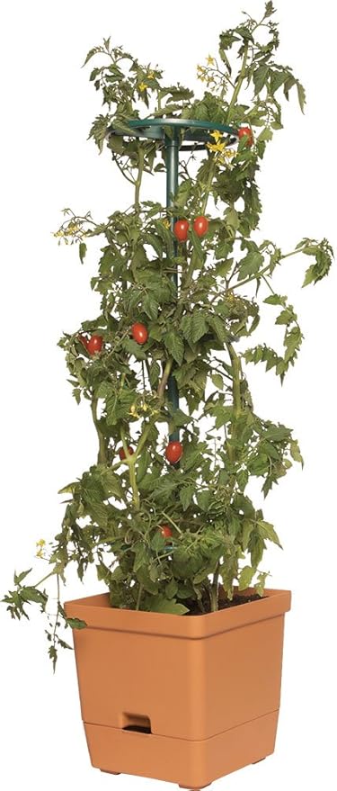 Hydrofarm GCTT Tomato 3-Foot Tree Tower, Orange and Green