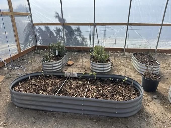 6 Pack 8x3x1FT Galvanized Raised Garden Bed Kit Oval Metal Ground Planter Box Outdoor Bottomless Planter Raised Beds for Vegetables Flowers Herbs Fruits, Gray