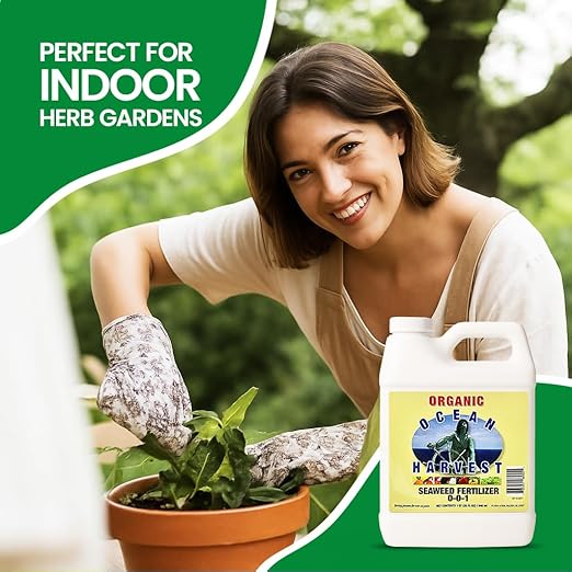 EZ-GRO 0-0-1 Seaweed Fertilizer for Plants – Organic Liquid Plant Food for Indoor & Outdoor Use | Ideal for Vegetables, Trees, Lawns & Shrubs | Promotes Plant & Flower Growth | 32 FL OZ (1 Quart)