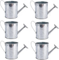 Mini Handmade Decorative Watering Can, Set of 6, Height 2.36 inch, Cute Metal Jug for Hand Crafts,Garden Theme Parties,Home Decor and Accessories of Refrigerator Magnets (Silver, Height 2.36 inch)