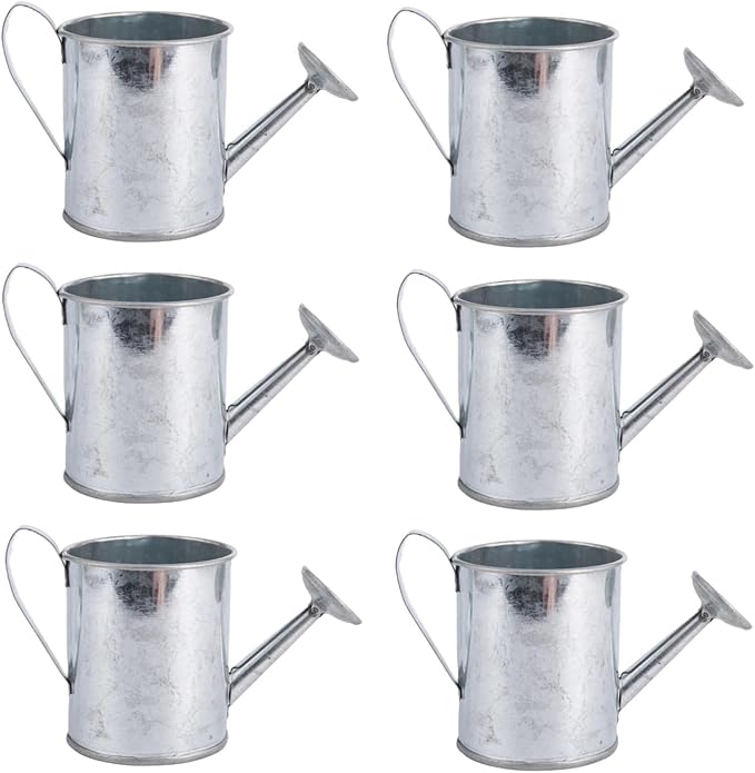 Mini Handmade Decorative Watering Can, Set of 6, Height 2.36 inch, Cute Metal Jug for Hand Crafts,Garden Theme Parties,Home Decor and Accessories of Refrigerator Magnets (Silver, Height 2.36 inch)