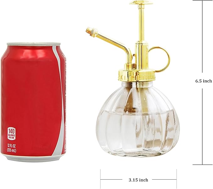 Plant Mister, 6.5" Tall Decorative Glass Water Spray Bottle with Gold Top Pump Small Watering Can by Ebristar - Clear
