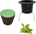 3 Inches Preseeded Herb Seeds Starter Plug for Hydroponic Applications,Seeds Starter Sponge Pod Replacement for Hydroponic Garden kit (Sage)