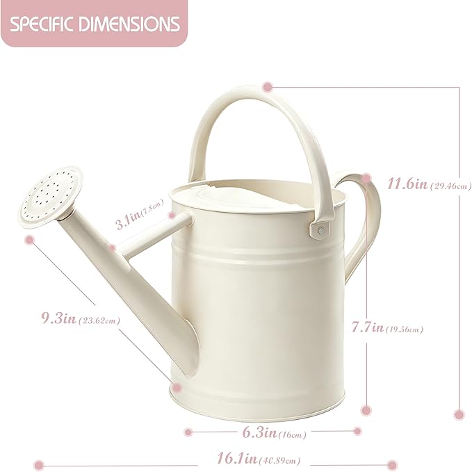 Metal Watering Can for Outdoor and Indoor Plants, Watering Can Decor, 1 Gallon（Cream White）