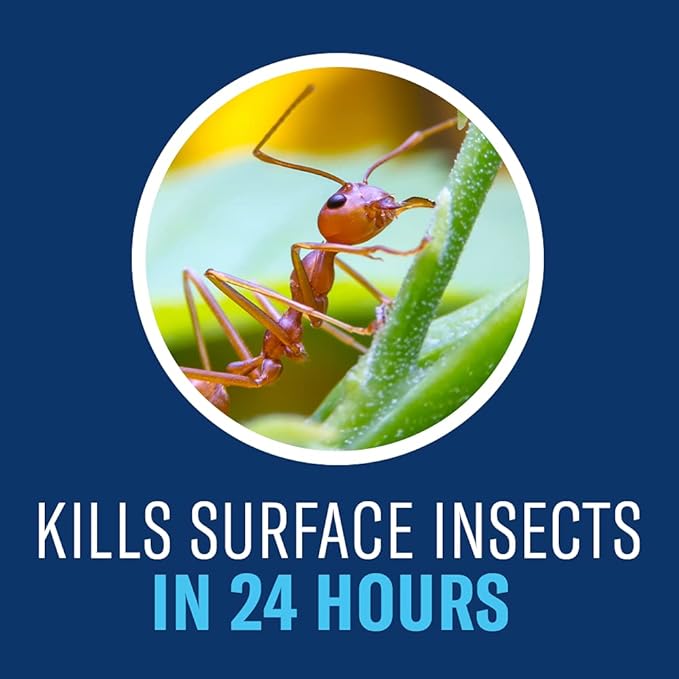 BioAdvanced Complete Brand Insect Killer for Soil and Turf, Ready-to-Spray, 32 oz, Outdoor Ant Killer (Pack of 2)