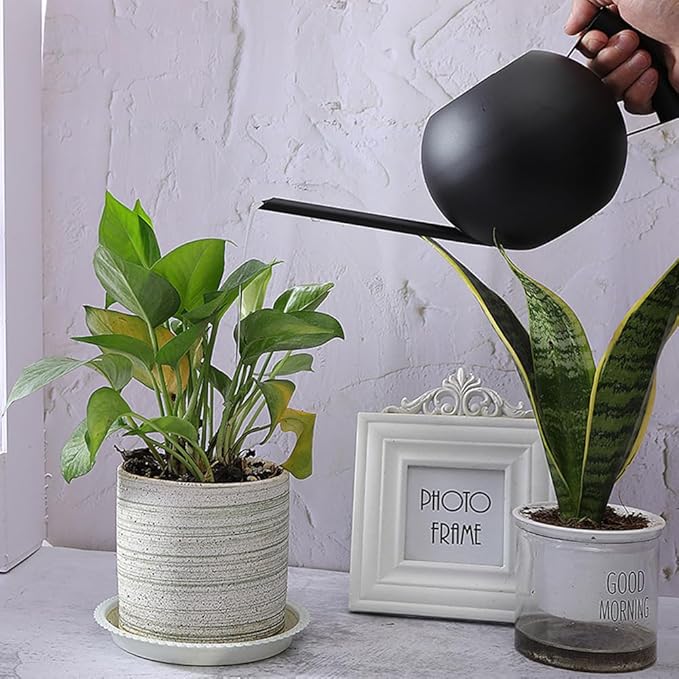 Watering Can with Long Spout and Comfortable Handle, 35 oz/1000ml Small Watering Can for Indoor Plants, Stainless Steel Garden Watering Pot for Indoor House Plants Bonsai Flower Decorative
