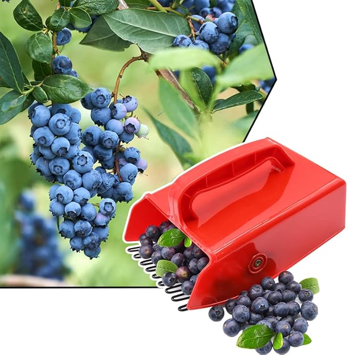Berry Picker, 2 Pack Berry Pickers and Rakes with Metallic Comb and Ergonomic Handle for Easier Berry Picking, Blueberry Rake Scoop for Blueberries, Lingonberries and Huckleberries