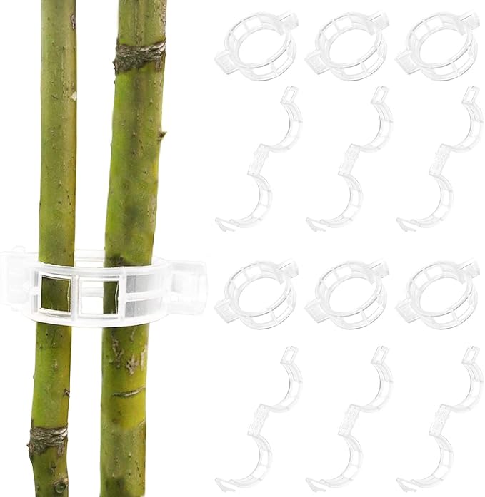 BEADNOVA 300Pcs Plant Support Clips Garden Clips Tomato Clips Vine Clips Tomato Trellis Clips for Tomato Vine Vegetable (300PCS)