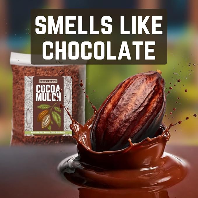[4 Quarts] Cocoa Mulch for Plants, Garden, Flower Beds, Indoor & Outdoor Plants - Organic Cocoa Bean Shell Mulch | Moisture Retaining, Weed Preventing, Landscaping Mulch