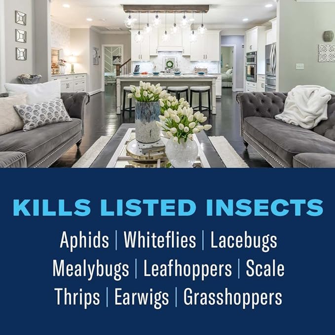BioAdvanced Organics Brand Insect Killer for Houseplants, Ready-to-Use, 24 oz