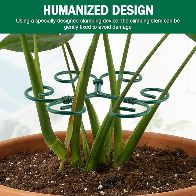 5 Pack Plant Stem Support Set, Reusable Iron Plant Stakes for Indoor Plants, Plant-Support-Stakes for Thriving Growth(Color:Green)