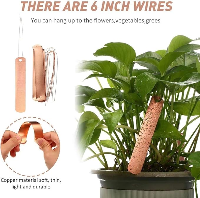 100 Pcs Metal Plant Labels Copper Tree Tags Metal Garden Tags Reusable Plant Markers for Outdoor Greenhouse Vegetables Flower Identification