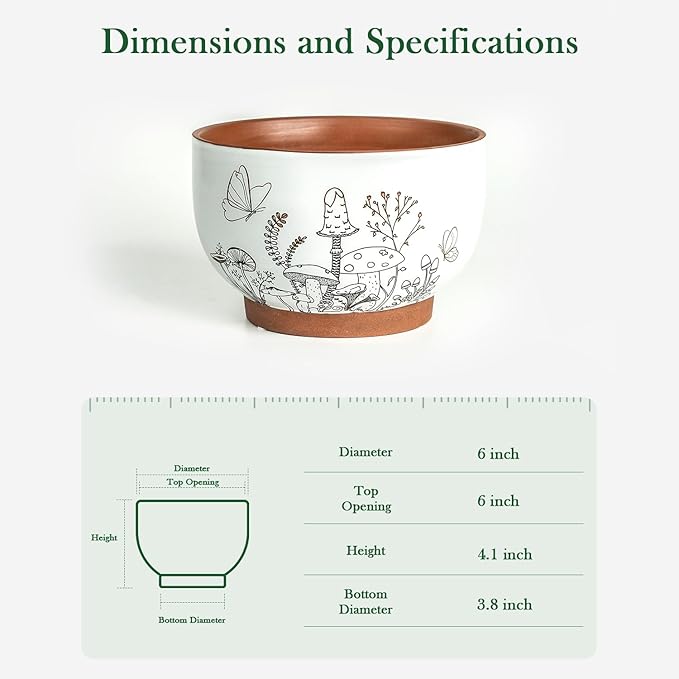 Succulent Pots Terracotta, 6 Inch Plant Pot for Plants with Drainage Hole, Ceramic Planter Mushroom Pattern, Round Flower Pots for Indoor Outdoor Herb Orchid Snake Plants - 1 Pack