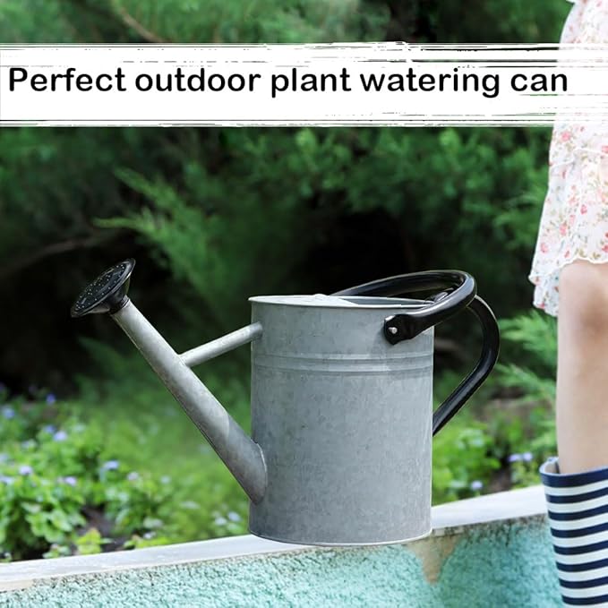 Metal Watering Can 1 Gallon with Removable Spout, Ideal Plant Watering Can for Indoor and Outdoor Plants (One Gallon Silver Black)