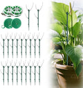 20 Pack Stackable Monstera Plant Support, Garden Plant Stakes Moss Pole for Indoor Outdoor Climbing Plants, Pothos Philodendron Tall Potted Plants Holder Stick (20 Pack)