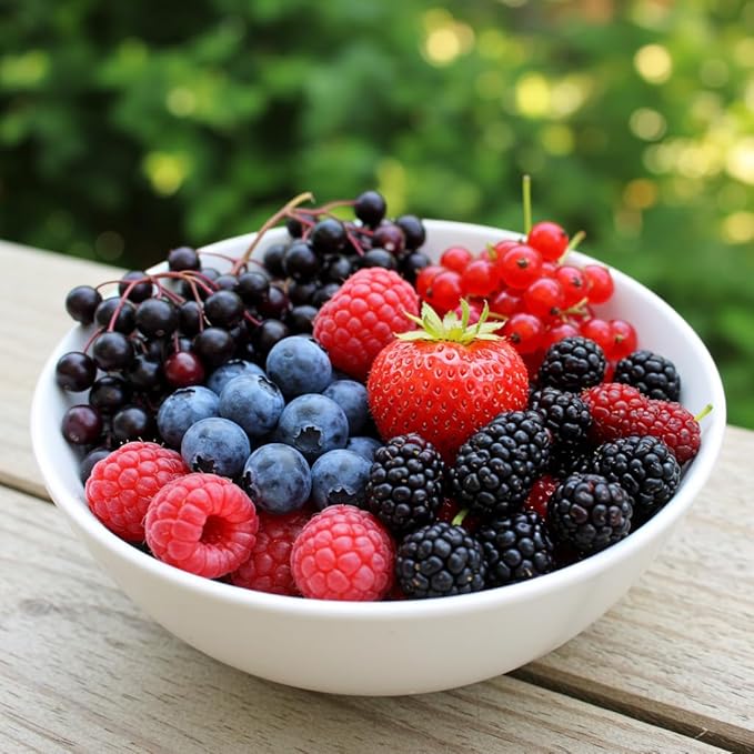 Fruit Garden Seeds Kit for Growing - Elderberry, Blueberry, Red Strawberry, White Strawberry, Raspberry, Mulberry. 100 Seeds of Each Fruit - Packaged Individually