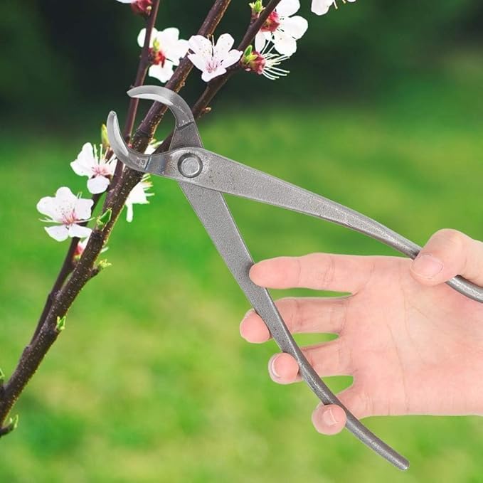 Bonsai Cutters, 8.5inch Concave Bonsai Cutters and Knob Cutters Stainless Steel Tree Branch Cutter Concave Cutter Bonsai Tools for Bonsai and Gardening Pruning