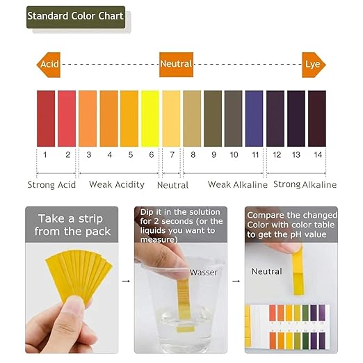 pH Test Strips | Discover Your Body's pH Levels | Urine Test Strips for Balanced Health | Early Imbalance Detection, Dietary Guidance, Health Monitoring | (80 Strips)