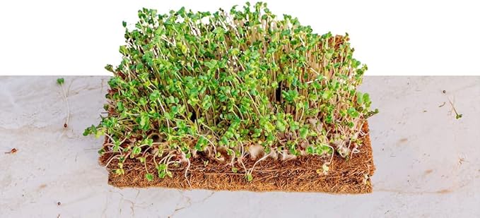 Envelor Coco Coir Fiber Grow Mat for Microgreens 10 x 20 Inches Coconut Coir Seed Starter Liner for Growing Trays, Hanging Baskets, Seed Starter Tray, Planter Sheets & Indoor Outdoor Plants, 10 Pack