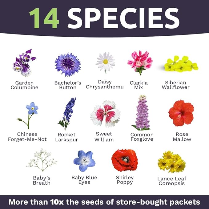 Bulk Wildflower Seeds Partial Shade Mix - 5 Pounds - Over 600,000 Open Pollinated Annual and Perennial Seeds