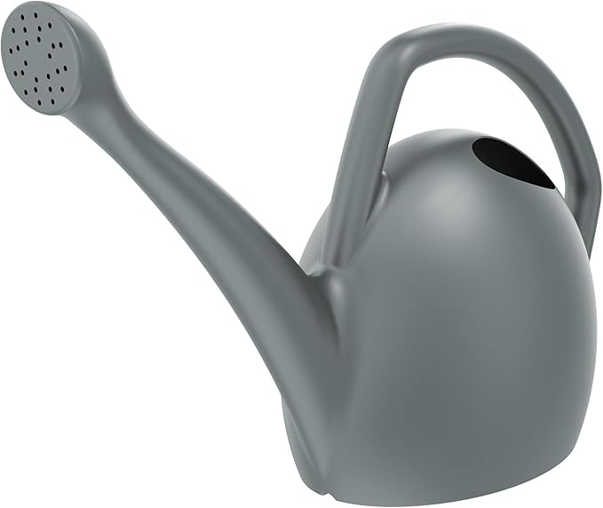 Bloem Rhino 2 Gallon (256 Fl Oz) Charcoal Gray Resin Watering Can for Indoor and Outdoor Use