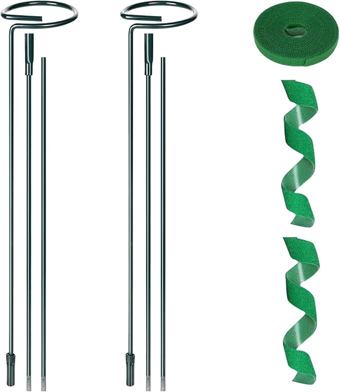 2 Pack Plant Support Sticks, 3 Sizes (12 or 24 or 36 inch) Garden Plant Stake, Plant Support Rings for Indoor Outdoor with Plants Ties, Plants Stakes for Flowers, Climbing Plants, Tomatoes