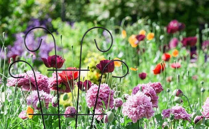 4 Pack 16'' Black Plant Wave Shape Trellis for Potted Climbing Plants Indoor, Outdoor Metal Garden Trellis for Climbing Plants House Plants Flowers Vine Ivy