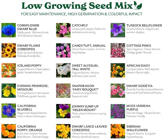Grow Your Own Vibrant Annual and Perennial Wildflower Garden Seeds Mixture, Varieties for Pollinators and Spring Gardens - Low Growing Mix, 1 lb