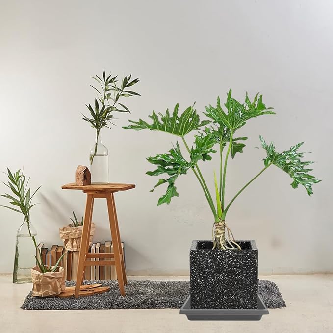 Square Plant Saucer 10 Inch 2 Pack, Plant Drip Trays and Flower Pot Saucers，Doubles Plant Water Catcher Tray, Plant Trays for Indoors No Holes, Plant Drainage Tray Saucers for Potted Plants