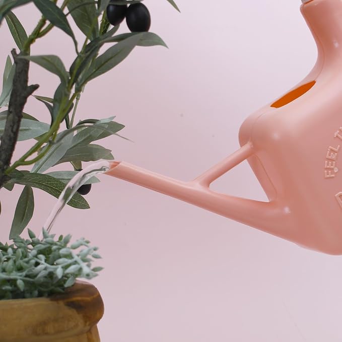 PETAL & FLOW Spray Sprinkler 2-in-1 Watering Can & Plant Mister Spray Bottle for Indoor & Outdoor Plants(Apricot Pink)