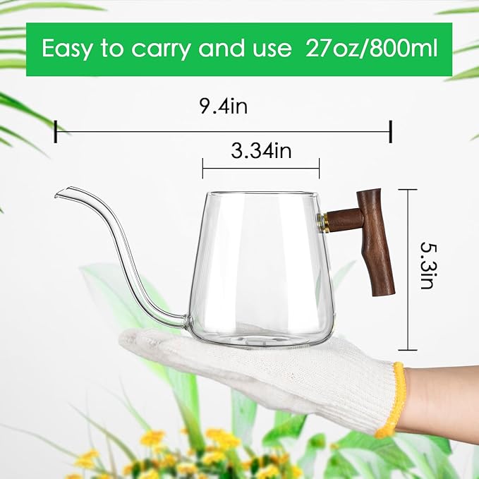 Watering Can Indoor Plants, 27 OZ Glass Watering Can, Long Curved Spout, Suitable for Indoor Plants, Bonsai Garden Flower Decoration