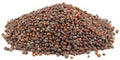 Non-GMO Broccoli Seeds for Sprouting Sprouts Microgreens (4 oz of Pure Seed. Country Creek LLC. Brand.