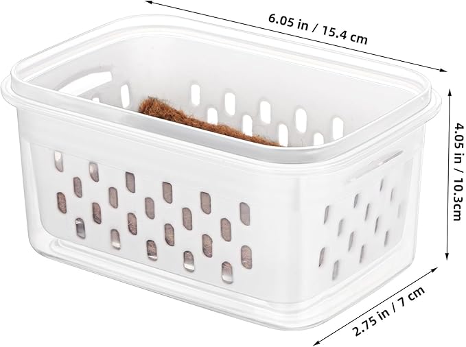 Seedling Sprouting Trays 2pcs Soilless Nursery Pots for Indoor Gardening Greenhouse Accessories Small Planting Containers for Seed Starting