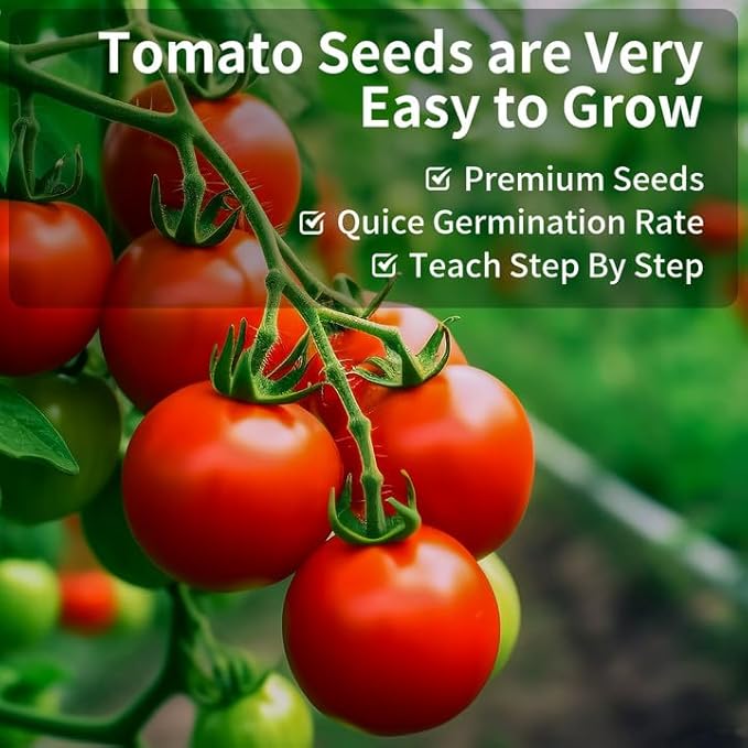 10 Pack Tomato Seeds for Planting - Heirloom Tomato Seeds for Indoor Outdoor Gardening - Natural Soil Disc, Pulp Cup, Plant Markers & Tools - Non GMO Vegetable Seed Set for Starter