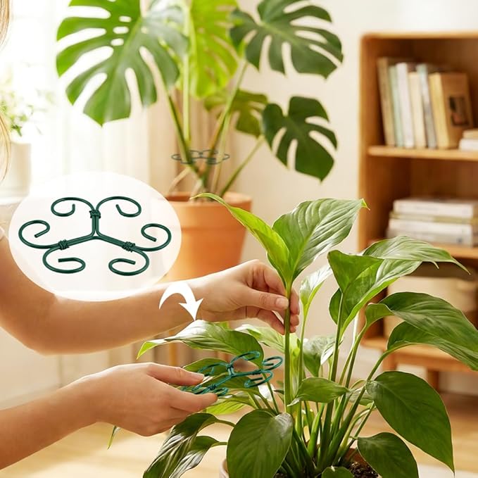 5 Pack Plant Stem Support Set, Reusable Iron Plant Stakes for Indoor Plants, Plant-Support-Stakes for Thriving Growth(Color:Green)