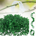 Secured Plastic Plant Support, 2024 Upgraded 50Pcs, Garden Climbing Vines Fixing Trellis Clips for Tomatoes (150, Green)