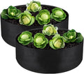 2-Pack 15 Gallon Grow Bag, Heavy Duty Thickened Fabric Pots Round Raised Garden Bed Planter for Planting Herb Flower Vegetable Potato Plants (24" D × 8" H)