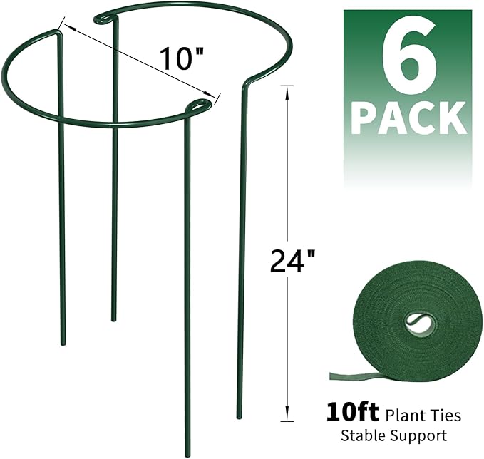 AMAGABELI GARDEN & HOME 6 Pack Plant Support Stakes 10" W x 24" H Heavy Duty Half Round Peony Cage Metal Garden Support Structures Plant Cage with Ties for Indoor Flower Tomato Hydrangea Monstera
