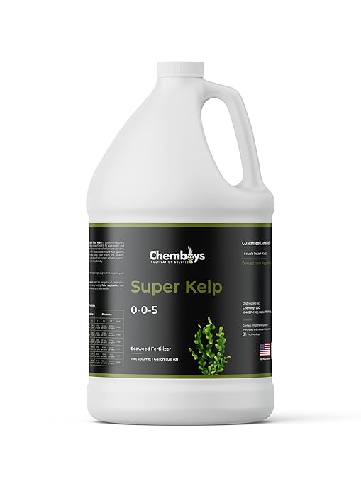Chemboys Super Kelp Liquid Seaweed Fertilizer – Kelp Plant Food Supplement for Plant Growth Bloom & Yield Boost – Liquid Kelp Seaweed Concentrate Garden Fertilizer - 8 fl oz