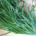 KVITER 300 Garlic Chive Seeds for Planting (Allium Tuberosum) – Organic Chinese Chive Seeds, Heirloom & Non GMO Seeds – Hardy Perennial – Kitchen Culinary Herb Seeds for Outdoor & Indoor Garden