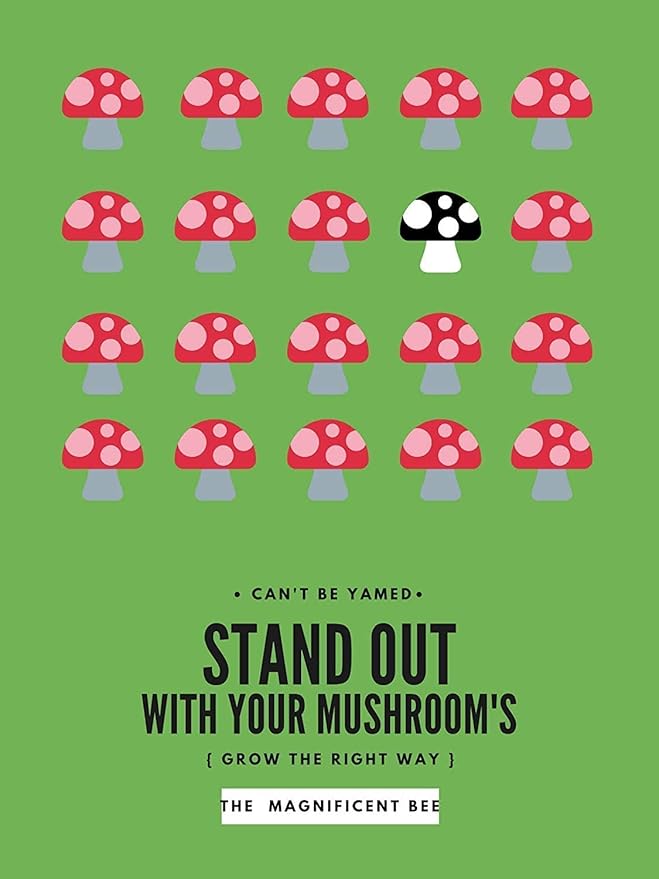 Reinforced Mushroom Grow Bags, 10 Count, Oyster Spawn and Grain Root Substrate Growing Kit with 0.2 Micron Filter, Heavy Duty 3 Mil Polypropylene Plastic