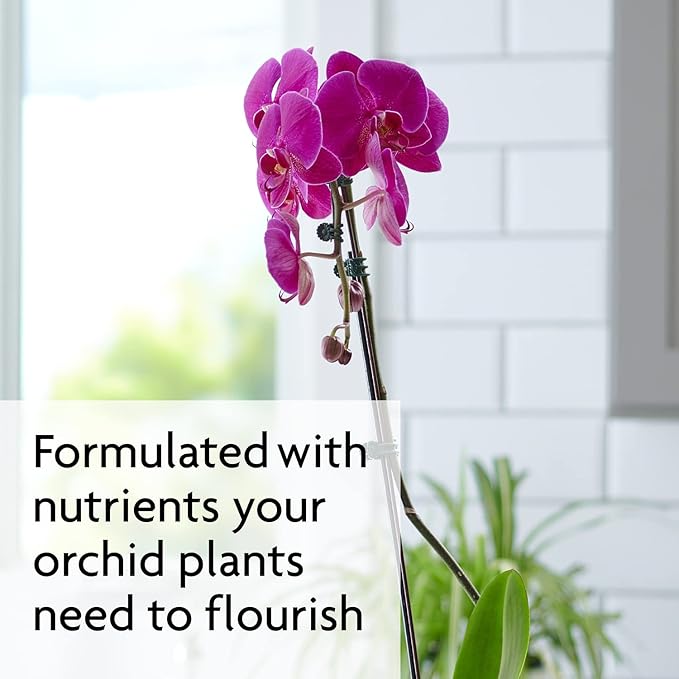 Miracle-Gro Ready to Use Orchid Plant Food Mist, Feeds All Types of Indoor Orchid Plants, 8 oz.