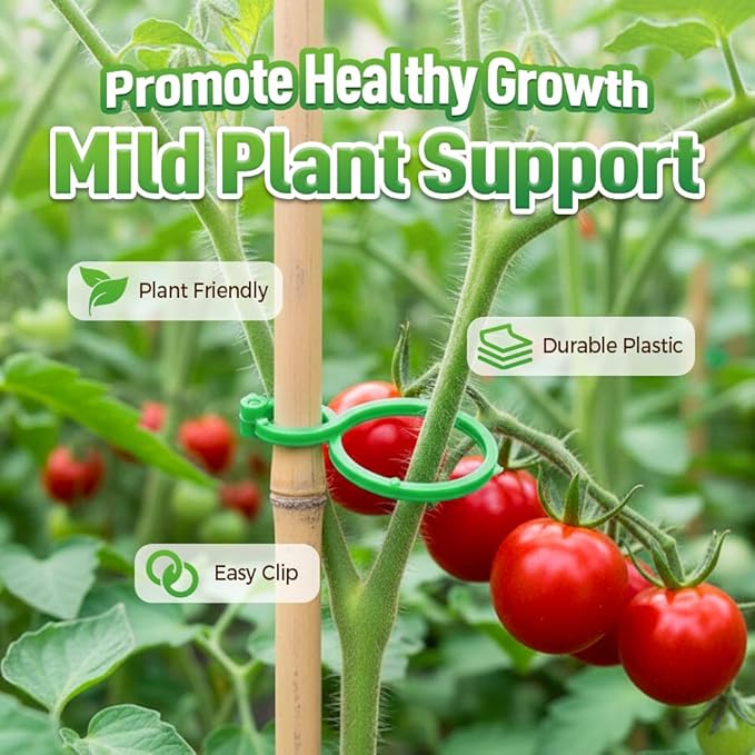 Plant Support Clips, 50/100/200PCS Plastic Trellis Clips Plant Support Clips, Garden Clips for Climbing Plants, Trellis Clips Plant Support Clips Tomato Grape Vine Plant Fixing Clips (50, GREEN-L)