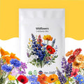 California Wildflower Mix - 5,000 Seeds - 17 Varieties - No Fillers, Open Pollinated and Non GMO, Perennial and Annual Garden Flowers, Attracts Bees and Butterflies