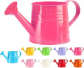 Metal Watering Can - 1L Vintage Sprinkling Can Plant Watering Can for Outdoor Indoor Plants, Tinplate Watering Kettle Gardening Tool, Galvanized Steel Watering Cans for Flowers (Rose)